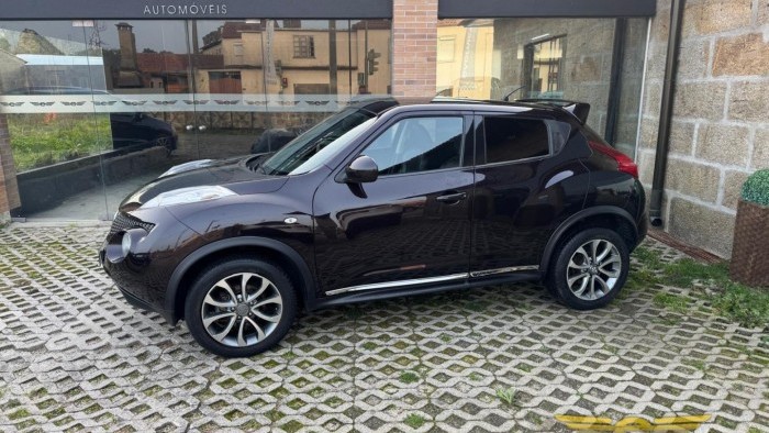 Nissan Juke 1.5 DCi Tekna Premium
